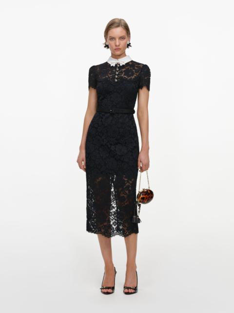 Black Lace Contrast Collar Midi Dress