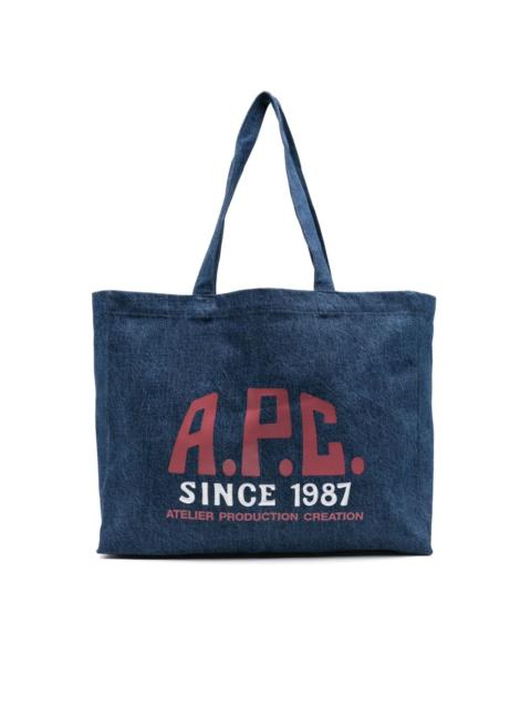 Diane Carpenter tote bag