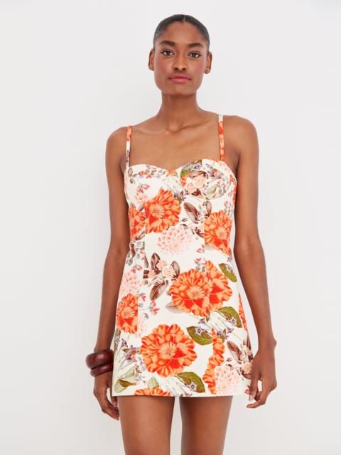 Claudine Mini Dress
Bold in Blossoms, Sweet at Heart