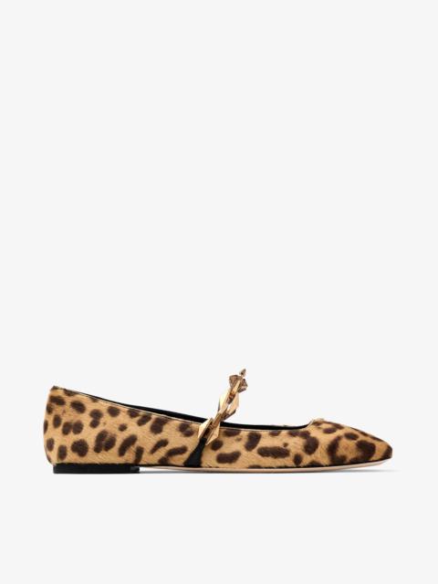 Diamond Tilda Flat
Natural Leopard Print Pony Flats