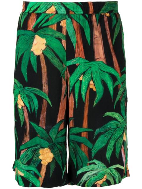 palm tree-print bermuda shorts