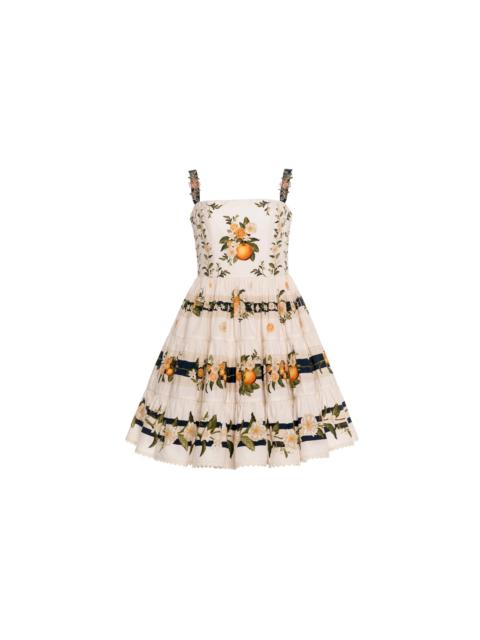 Lima Valle Mini Dress