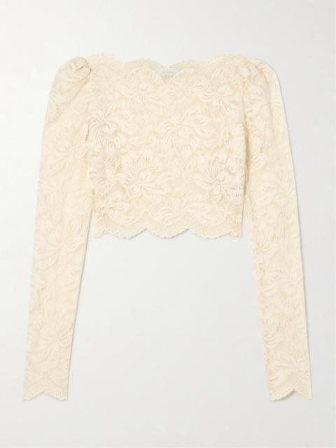 Scalloped Cropped Lace Top