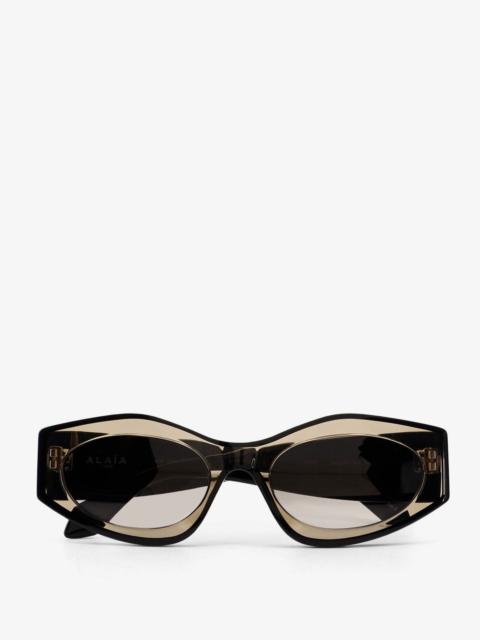 Acetate Sunglasses