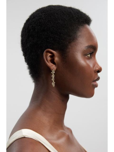 Evolution Crystal Drop Earrings