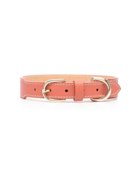 leather pet collar