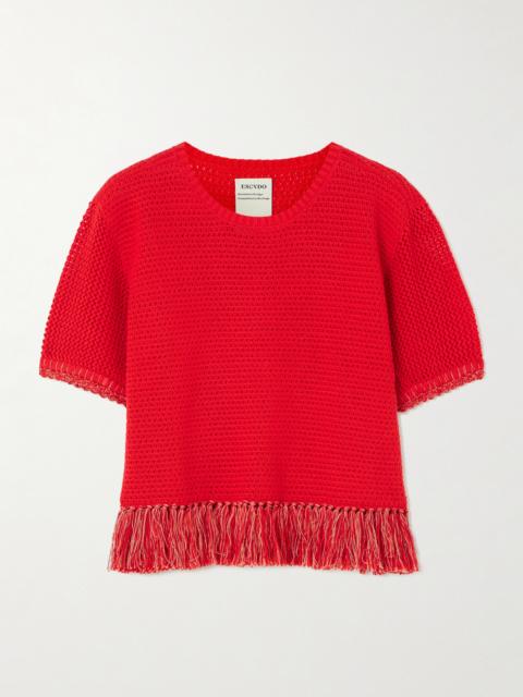 Amada Cropped Fringed Crocheted Cotton Top
