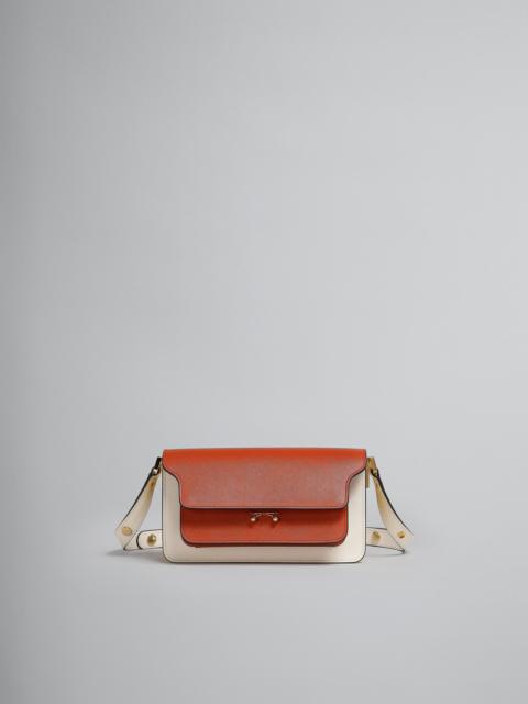 BROWN SAFFIANO LEATHER EW TRUNK BAG