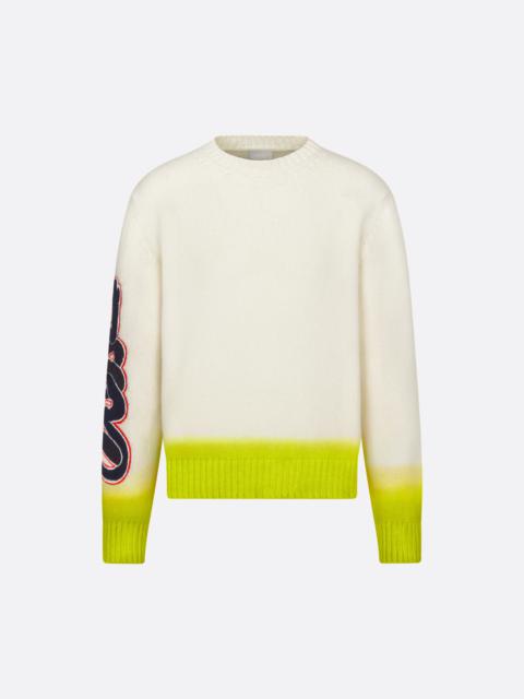 DIOR AND KAWS Sweater