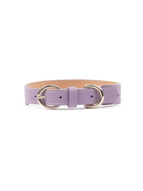 double-buckled leather dog collar