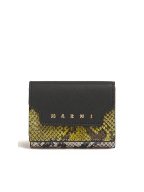 python-print wallet