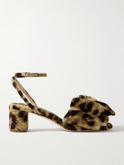 Carmen Bow-embellished Leopard-print Velvet Sandals