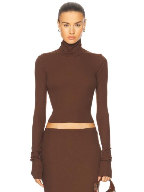 Cropped Fitted Turtleneck Top