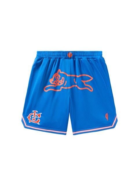 TEAM IC RUNNING DOG BASKETBALL SHORTS