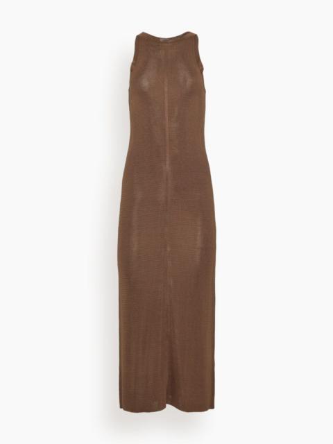 Pablo Maxi Dress in Brown