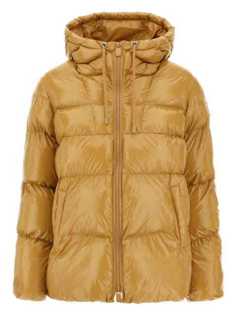 quilted padded jacket