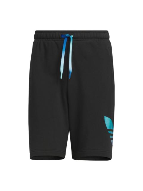 adidas Originals Knit Shorts 'Black' IP7545