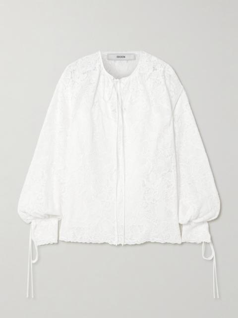 Tie-neck Cotton-lace Blouse
