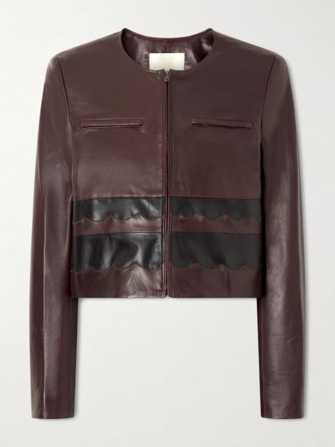 Callisto Paneled Leather Jacket