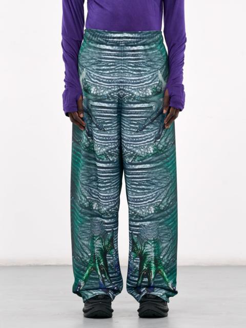 Morphosis Pants