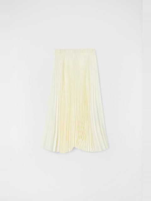 Pleated Skirt