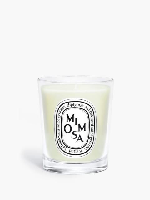 Mimosa - Small Candle