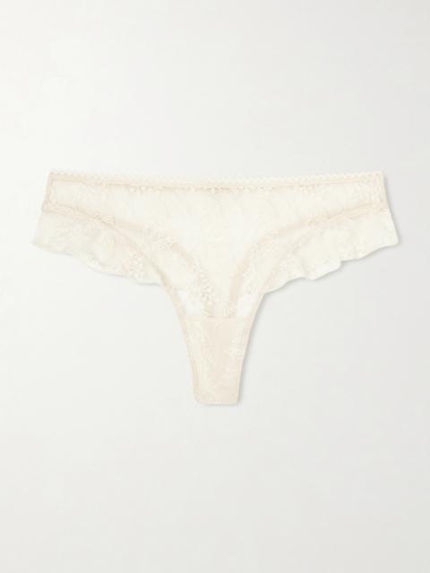 Seigle Embroidered Mesh Briefs