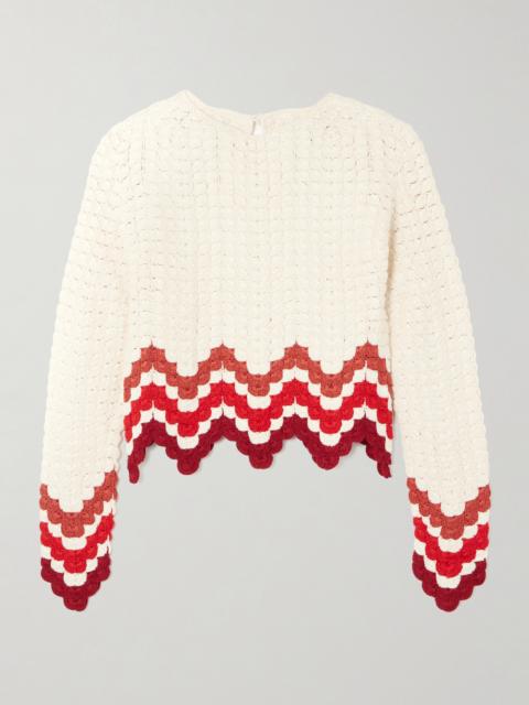 Safi Cropped Scalloped Crocheted Cotton Top