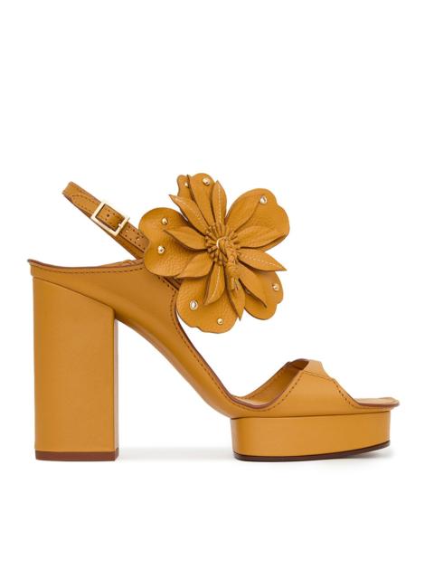 BRIGHTSIDE PLATFORM 105