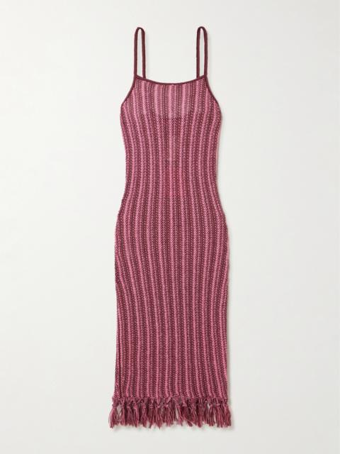 Fringed Striped Open-knit Cotton Midi Dress