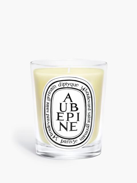 Aubépine (Hawthorn) - Classic Candle