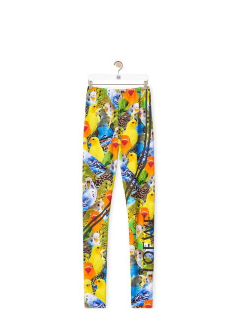 Parrots leggings in polyamide