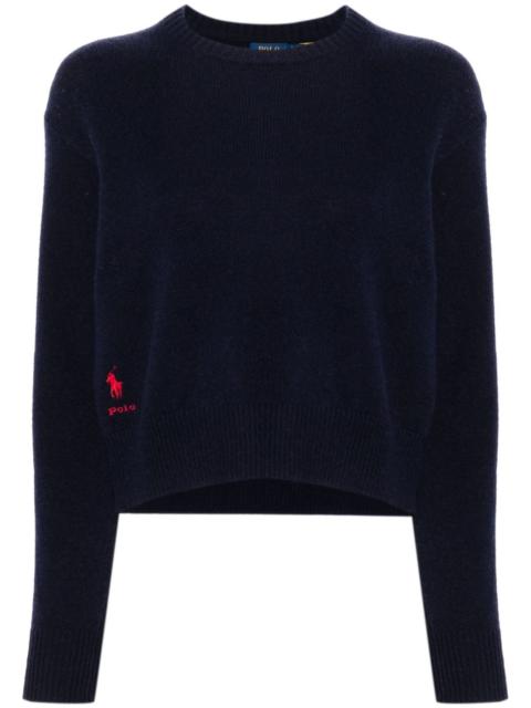 Polo Pony-motif sweater