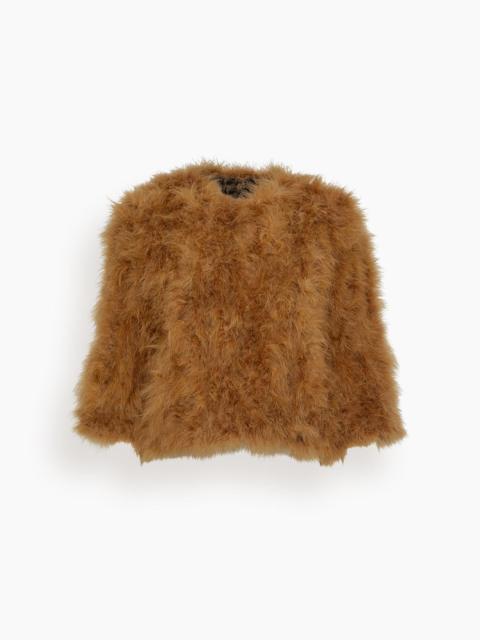 Feathers Jacket in Madeleine