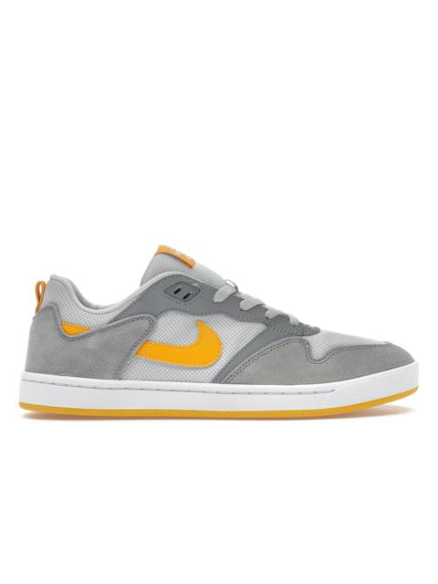 Nike SB Alleyoop Particle Grey University Gold