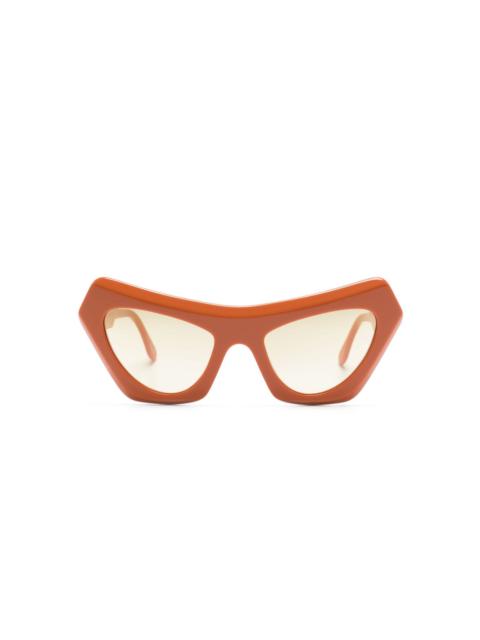 Devil's Pool cat-eye frame sunglasses