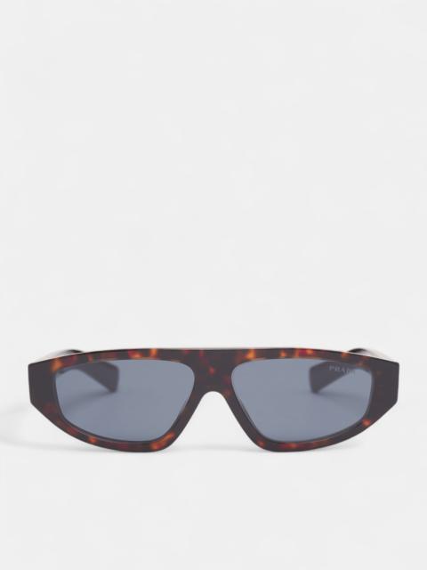 Tortoiseshell C02S Geometric Sunglasses