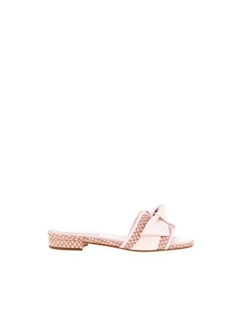 Maxi Clarita mules
