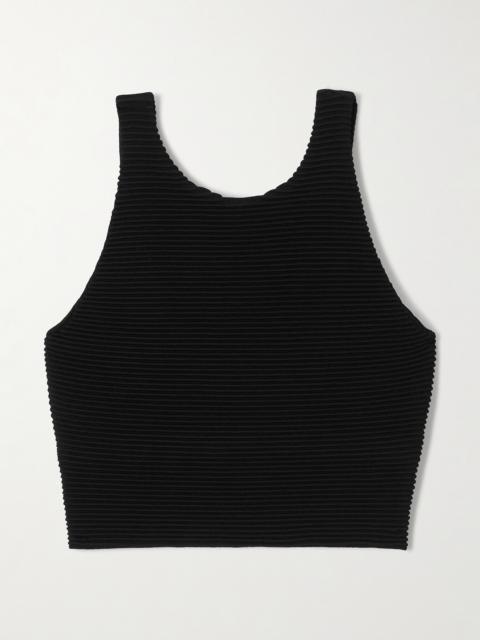 Agave Cropped Ribbed-knit Top