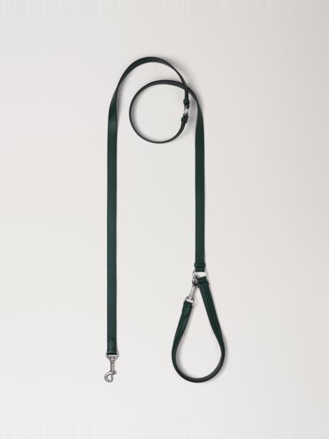 Crossbody Dog Leash
Mulberry Green Small Classic Grain