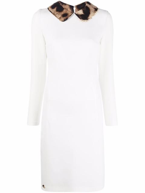 leopard-collar dress