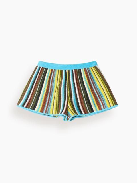 Rove Short in Skate Stripe