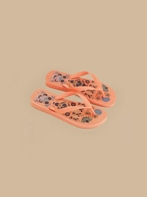 Seasheel Tapestry Havaianas