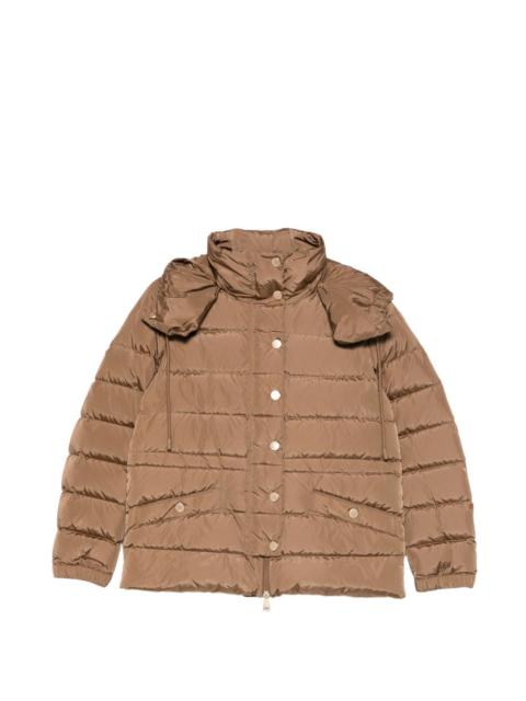 button hooded jacket