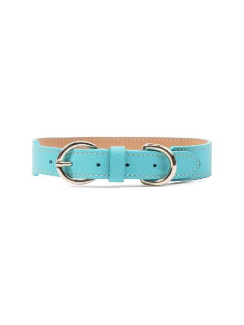 double-buckled leather dog collar