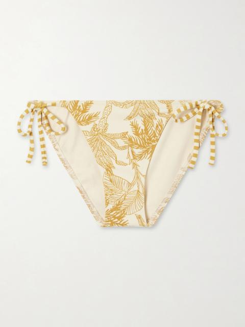 Voyage Solarium Printed Bikini Briefs