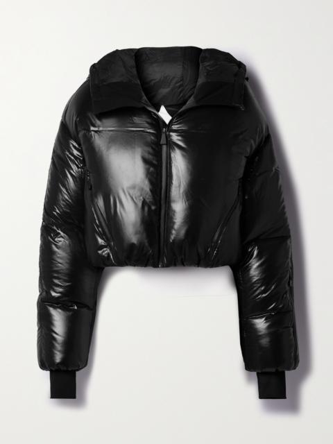 Daisy Nuke Cropped Quilted Glossed-shell Down Jacket