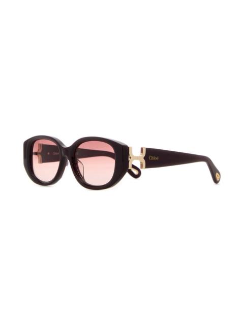 Burgundy Acetate Sunglasses