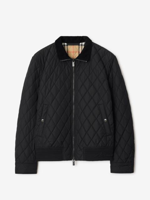 Quilted Nylon Jacket
