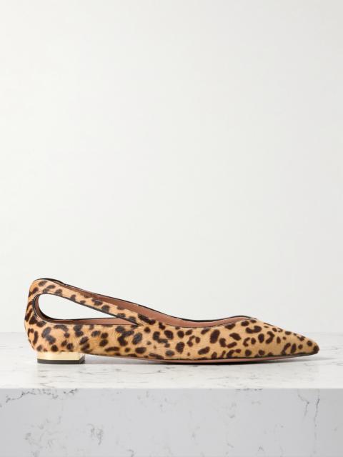 Sheeva Cutout Leopard-print Calf Hair Point-toe Flats